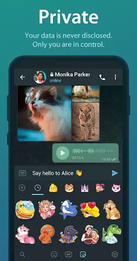 تلگرام Telegram - اسکرین‌شات 4