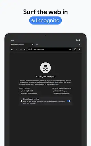 گوگل کروم Google Chrome - اسکرین‌شات 14