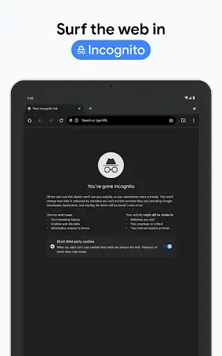 گوگل کروم Google Chrome - اسکرین‌شات 22