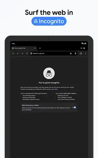 گوگل کروم Google Chrome - اسکرین‌شات 29
